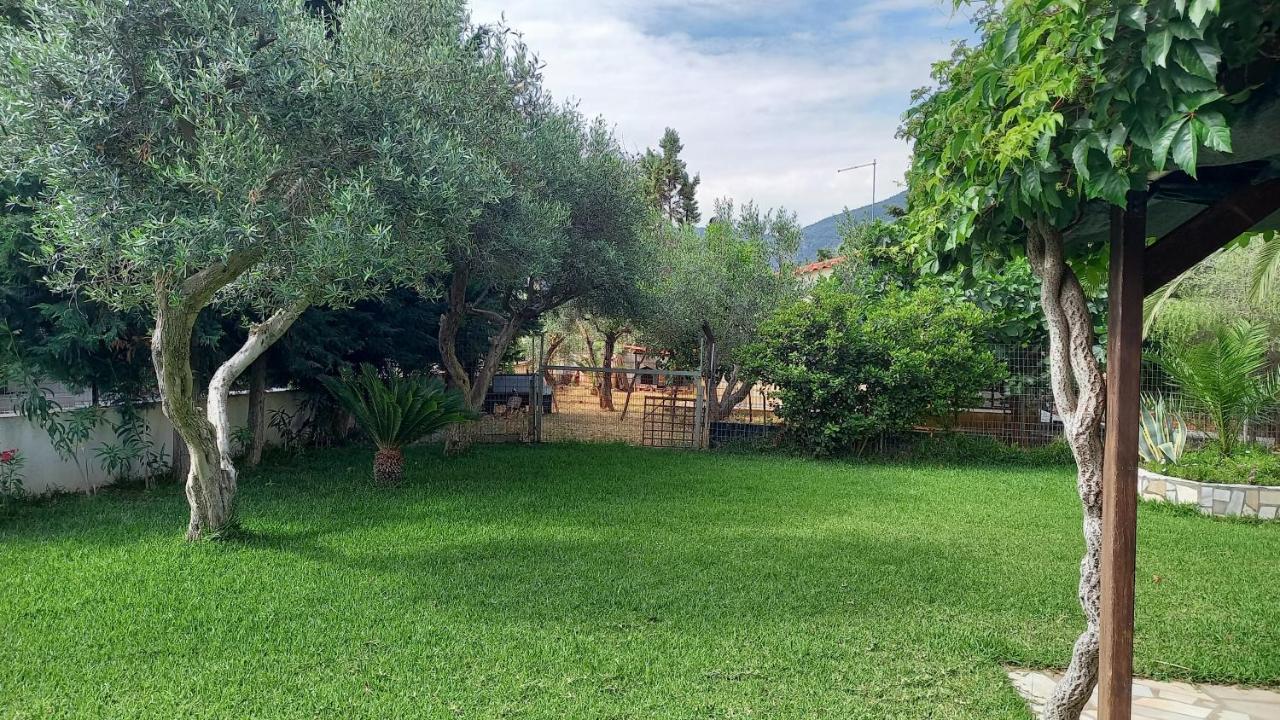 Villa Margiani Chalkida Exterior photo